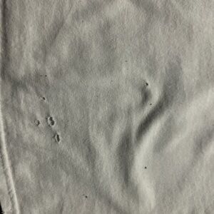 Junk Food Clothing White Tee